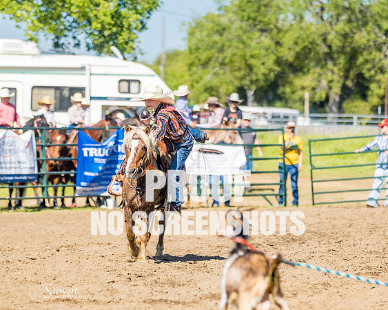 G91A5958
