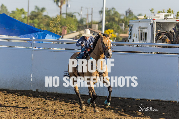 G91A3922