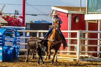 KC STEER STOPPING 11-14
