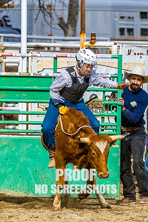 G91A0947