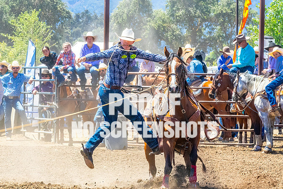 IMG_2998-Edit