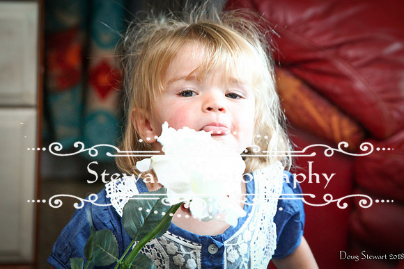 IMG_6446489