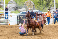 cjca sun breakaway 15-19, steer wrestling