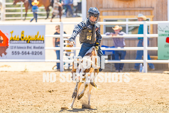 G91A1317