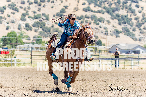 G91A0190