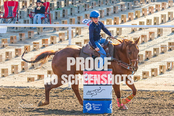 IMG_6440