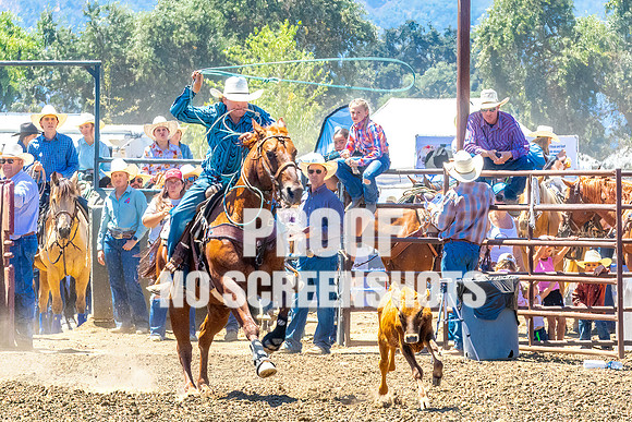 IMG_3019-Edit