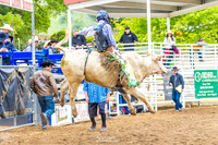 CJCA SUN ROUGH STOCK