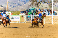CJCA SUN TEAM ROPING 11-14