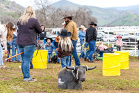 6 UNDER SATURDAY DUMMY ROPING