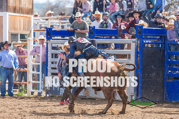 AA5I7355