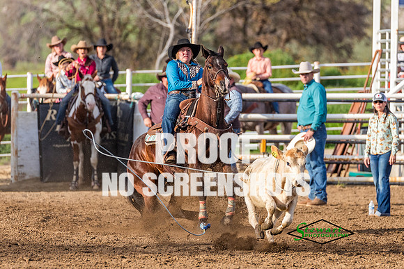 AA5I8292