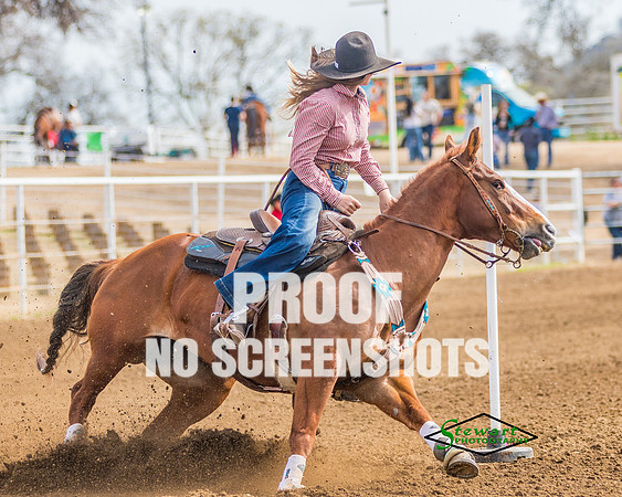 3Z6A5242