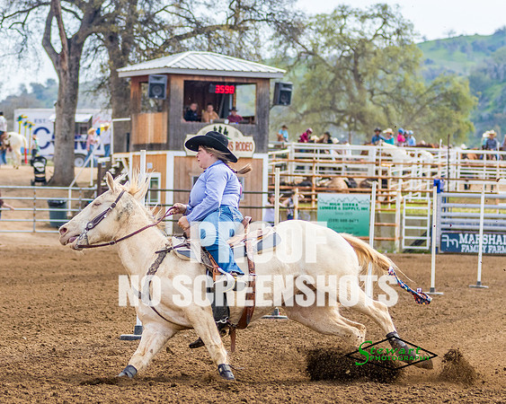 3Z6A5172