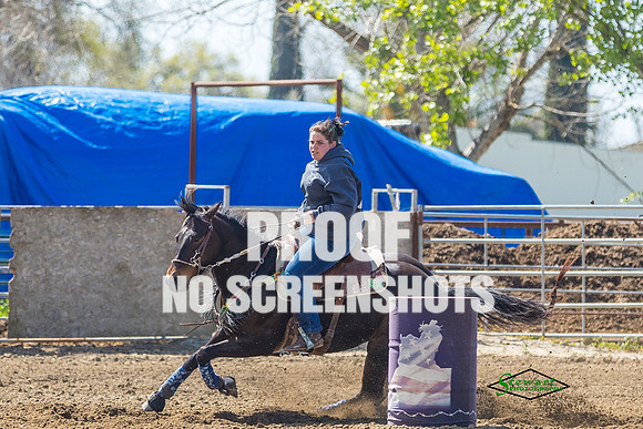 G91A0773
