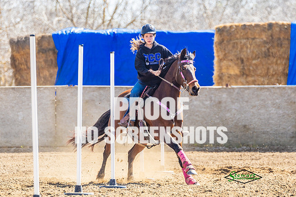 G91A1354