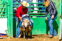WF SUN MUTTON BUSTING
