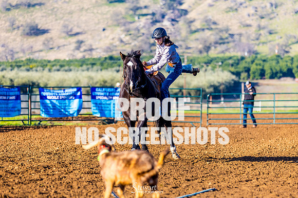 G91A7248