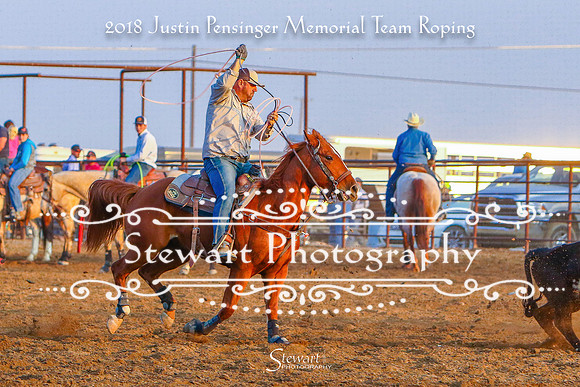 3Z6A4131