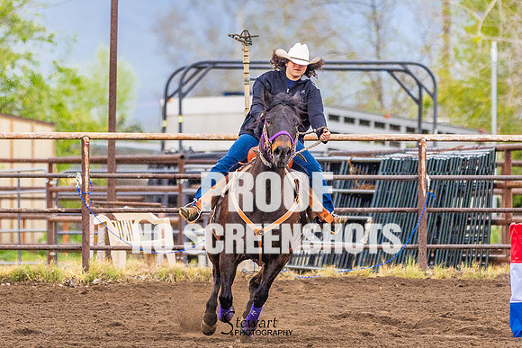 G91A1946