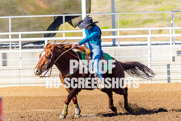 G91A6042
