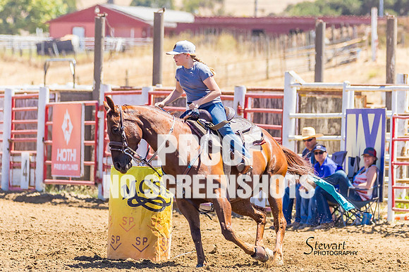 G91A5281