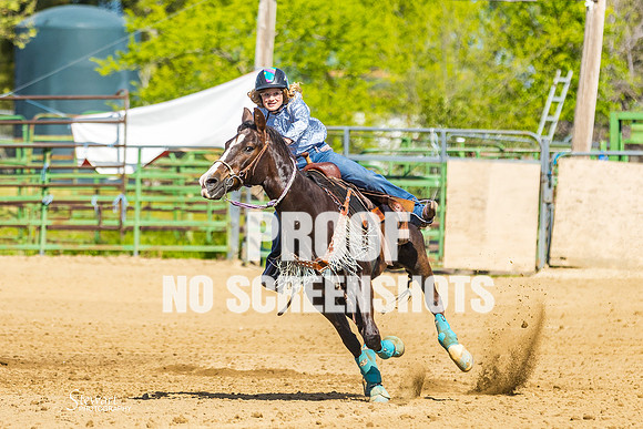 G91A3496