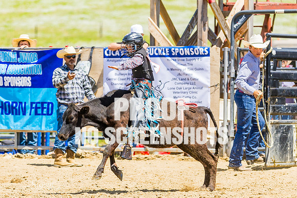 G91A4182