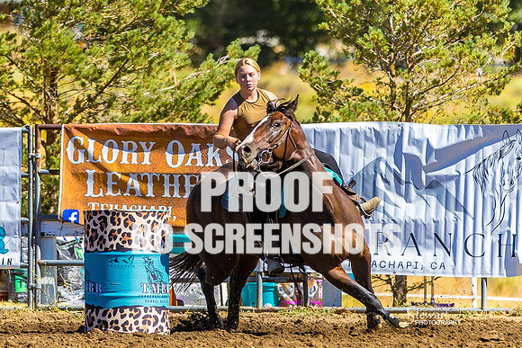 G91A1817