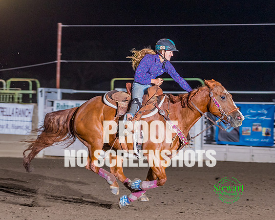 AA5I3600