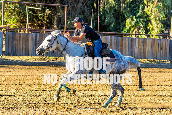 7Q1A5236