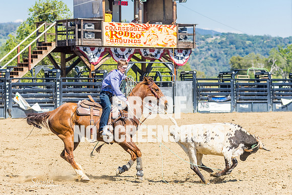 G91A6732