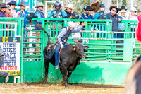 WF SAT ALL BULL RIDING