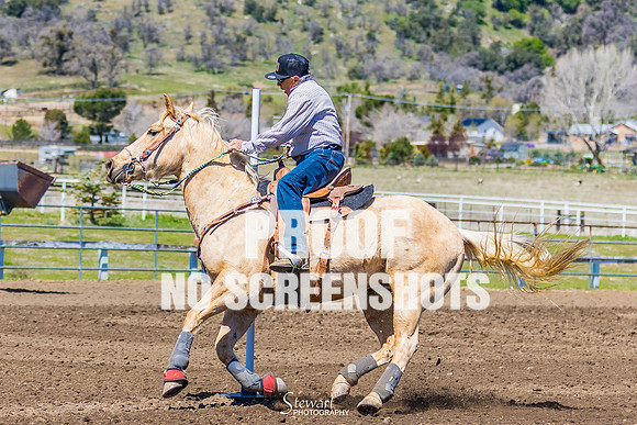 G91A0044
