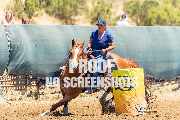 G91A5648