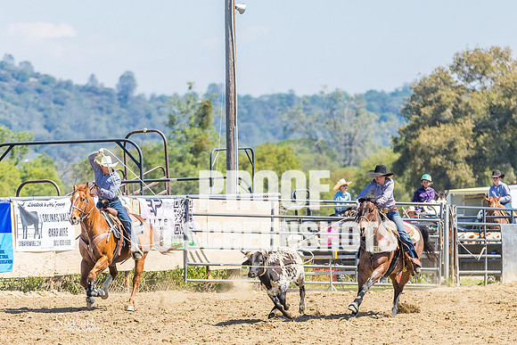 G91A6679