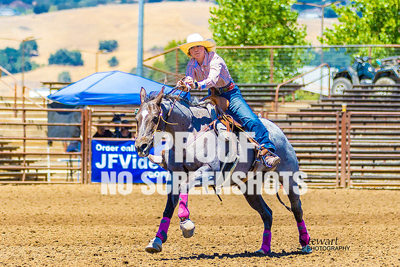 7Q1A0781