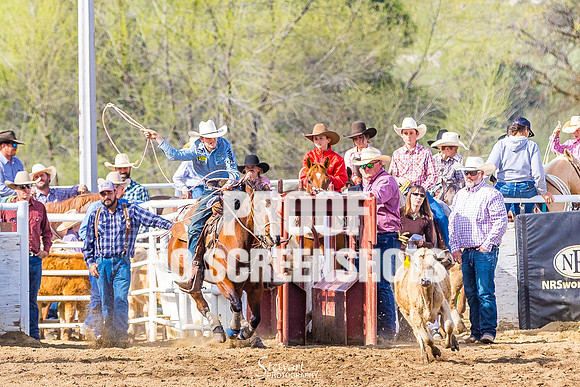 G91A6893