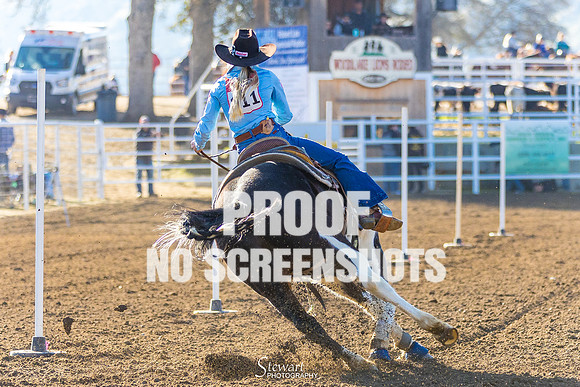 G91A5313
