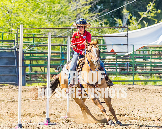 G91A4812