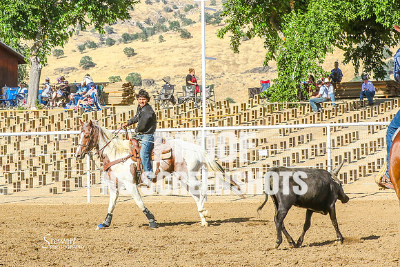 IMG_6314