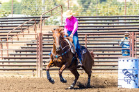 GILROY SAT OPEN 71-85