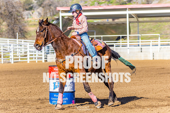 G91A5599