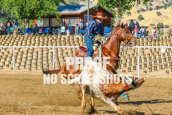 IMG_6289