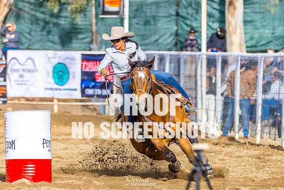 G91A1314