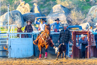 CJCA SAT TIE DOWN ROPING