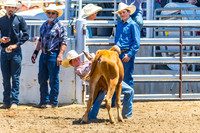 CJCA SUN CHUTE DOGGIN/STEER WRESTLING/TIE DOWN ROPING