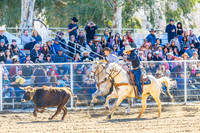 WF SUN LOCAL TEAM ROPING