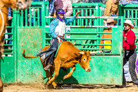 WF SUN STEER RIDING