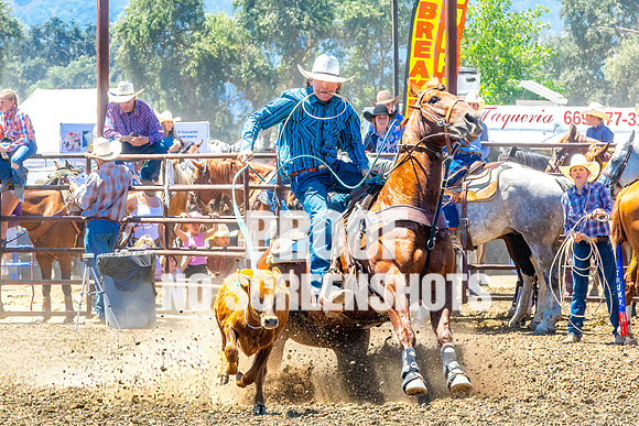 IMG_3021-Edit